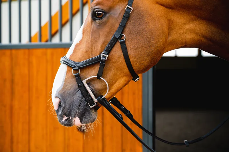 Horseware Micklem 2 Competition Bridle Black-3